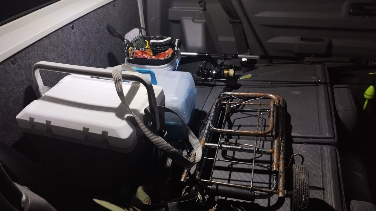 文次＠タフト垢 tweet media