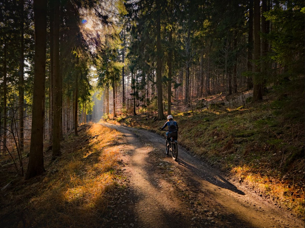 Jacek na Kole tweet media