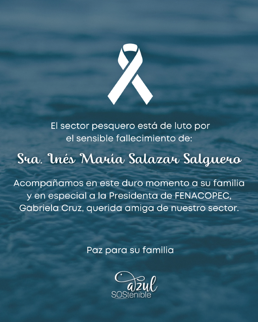 azulsostenible1's tweet photo. Con profundo pesar acompañamos en este momento de duelo a nuestra querida amiga y colega Gabriela Cruz, presidenta de FENACOPEC, ante el sensible fallecimiento de su madre, la Sra. Inés María Salazar Salguero. 🕊️ https://t.co/QKy4jlnLYP