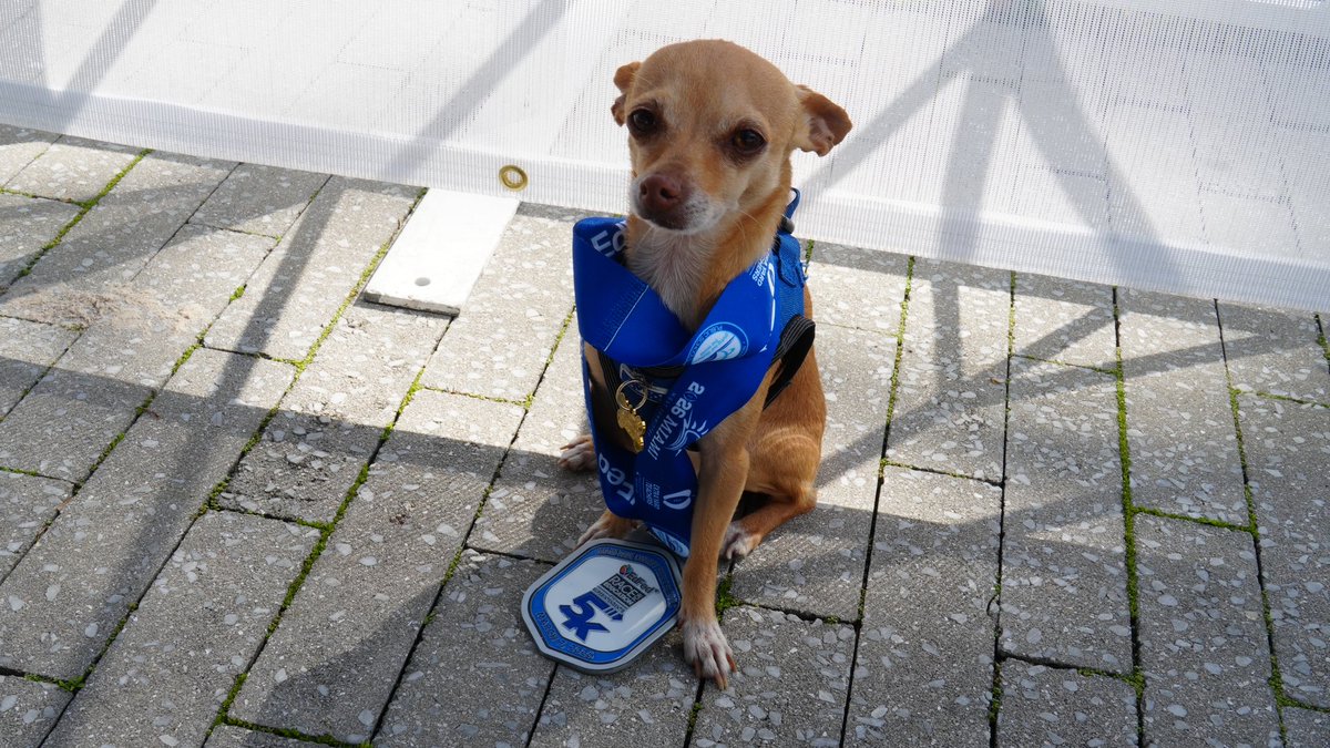 Jose L. Dotres, Ed.D. tweet media