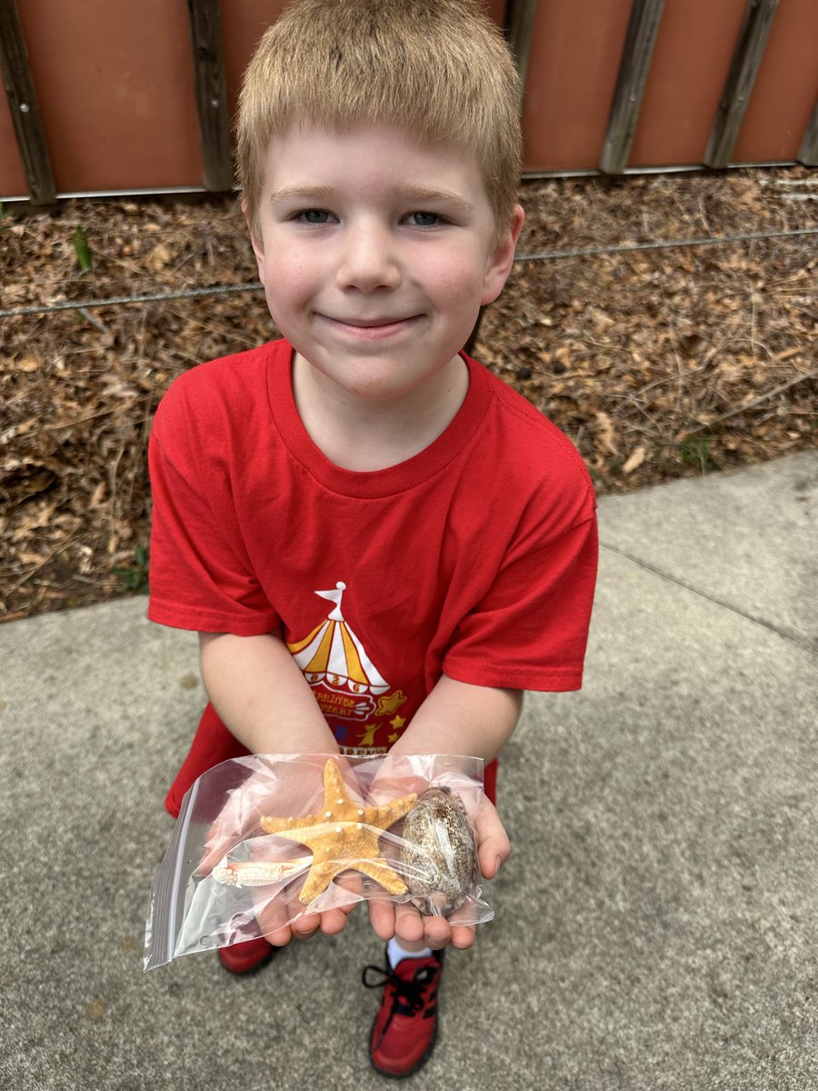 Caitlin Sabers tweet media