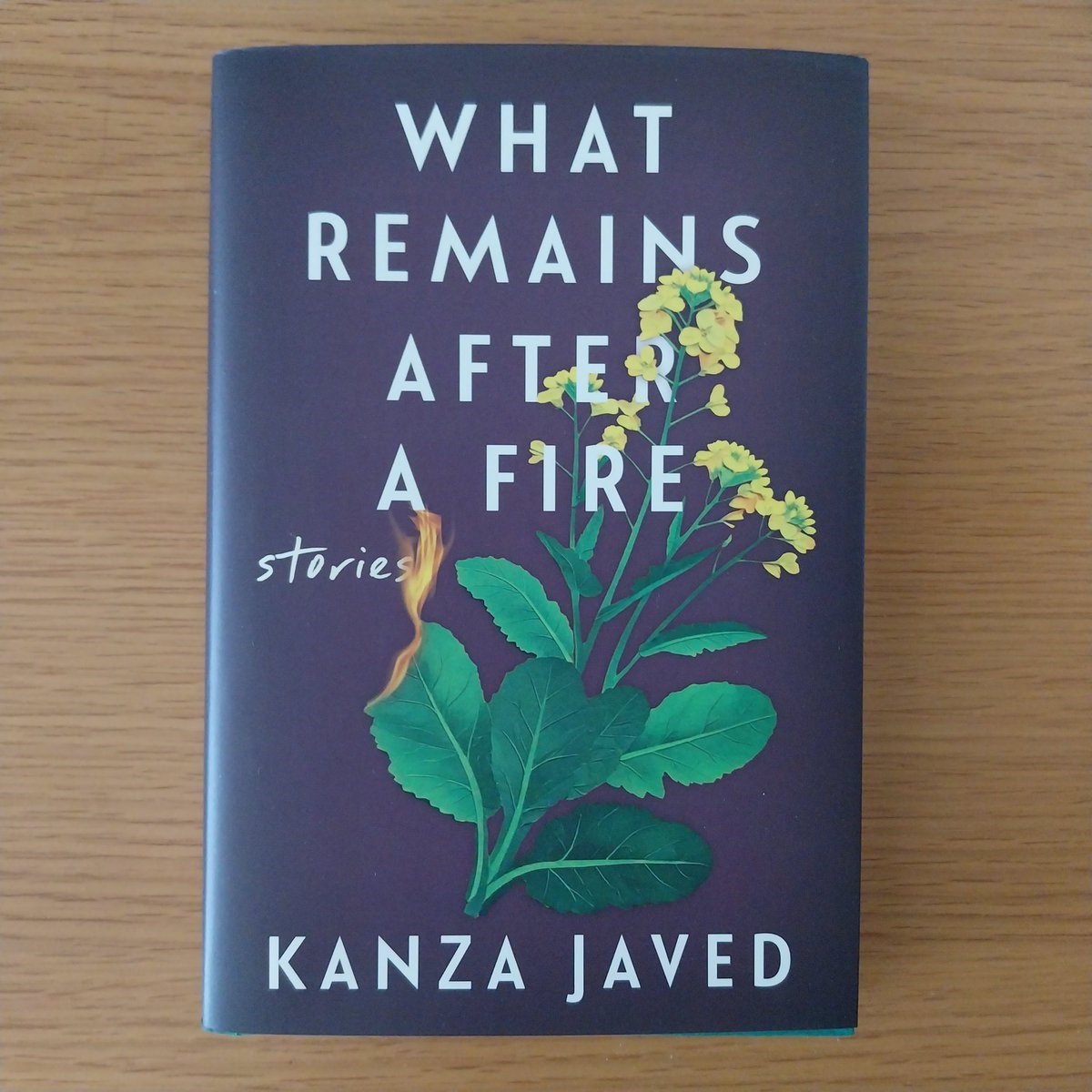 WhatCathyReadNext tweet media