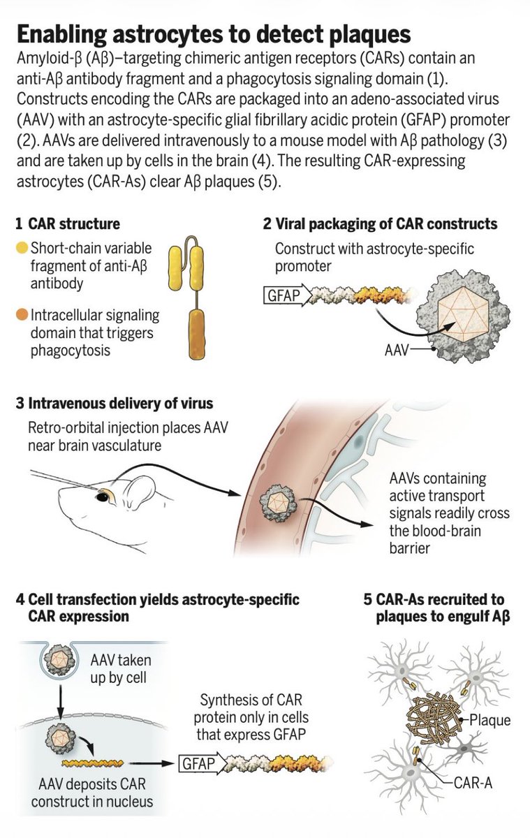 Gorka Orive tweet media