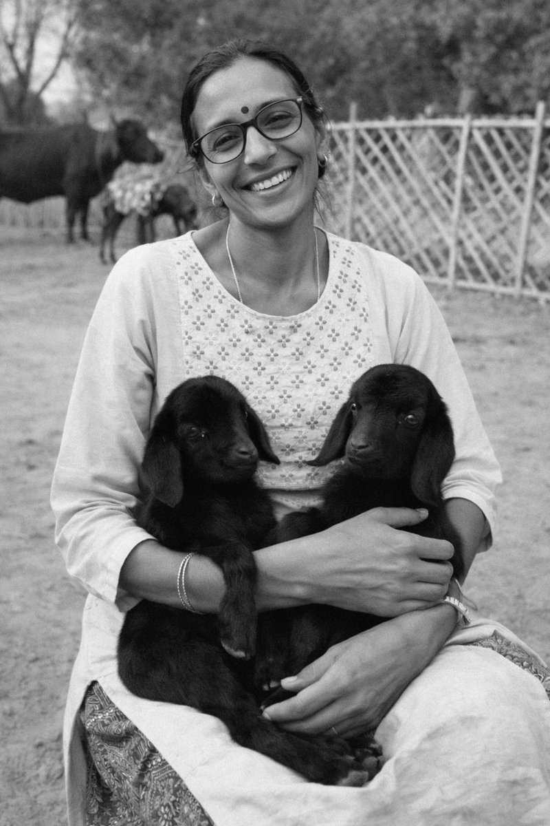 TheDogMother_'s tweet photo. My littlest lamb babies at @smartsanctuary 💙🐑
Sheep, pigs, goats and other farm animals feel love and fear just like cats and dogs.
They deserve the same compassion.
Help me save more voiceless souls. 🙏🐾
Donate: https://t.co/2BctqCRZVr⁠�
UPI: 8810309001@kotak
#CompassionForAll #SaveAnimals #SMARTSanctuary #rescues