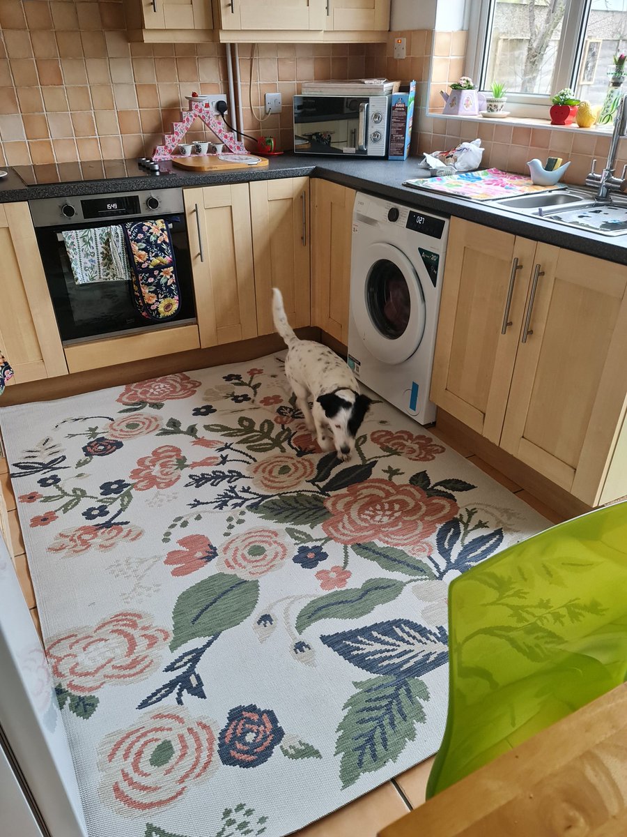 EmmaJane tweet media