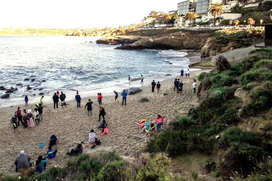 WetTribe's tweet photo. Beach Cleanup Today! Saturday, March 7th, 11:30 AM at La Jolla Shores! #UCSD #Tritons #WetTribe #TidetotheOcean #ILoveACleanSanDiego #SanDiegoCoastkeeper #SurfriderFoundationSanDiego #PurposeFirstBeachCleanup #SanDiegoWhaleWatch https://t.co/EZuYtUyghR