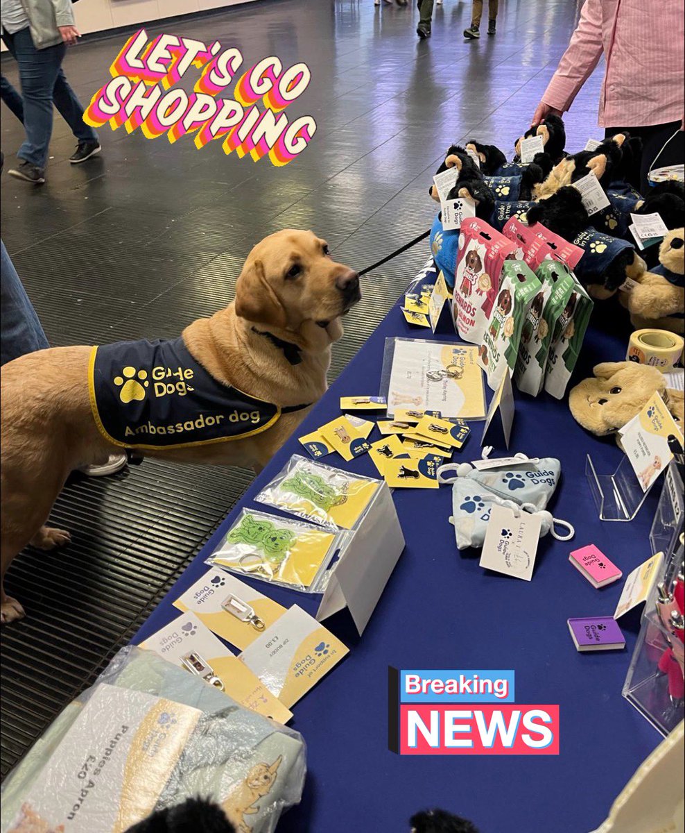 Solihull Guide Dogs tweet media