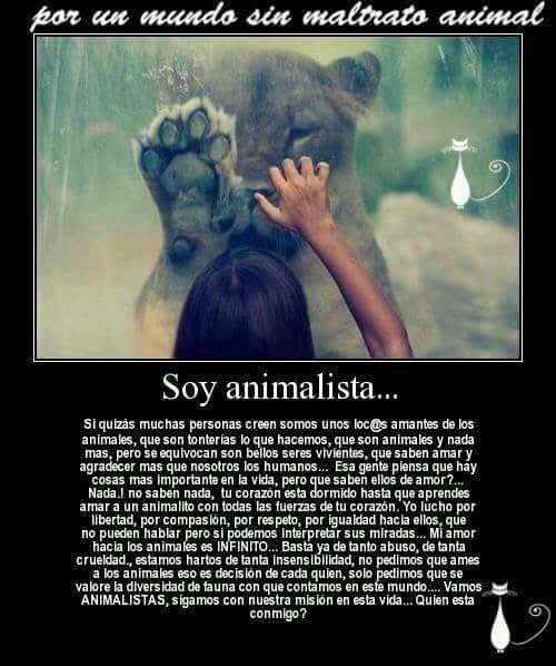nydiacervera's tweet photo. #FelizSabado @gllgina1 @PatyZavalat @nora_nap @EYACAR65 @mtz_tt @duky1107 @PatyZavalat @LETICIA777 @akyoshi09 @CasLaaU @DaliaMRocha @Froggieland @Janinah18 @raquelgarzac @arireyes192 @HuesitosDF @IsabelYsita @gretakolarik @soymolid @AvilMac @Negra_start @zaradrj @alapez @Nyu_umi https://t.co/8i5DKzUt09