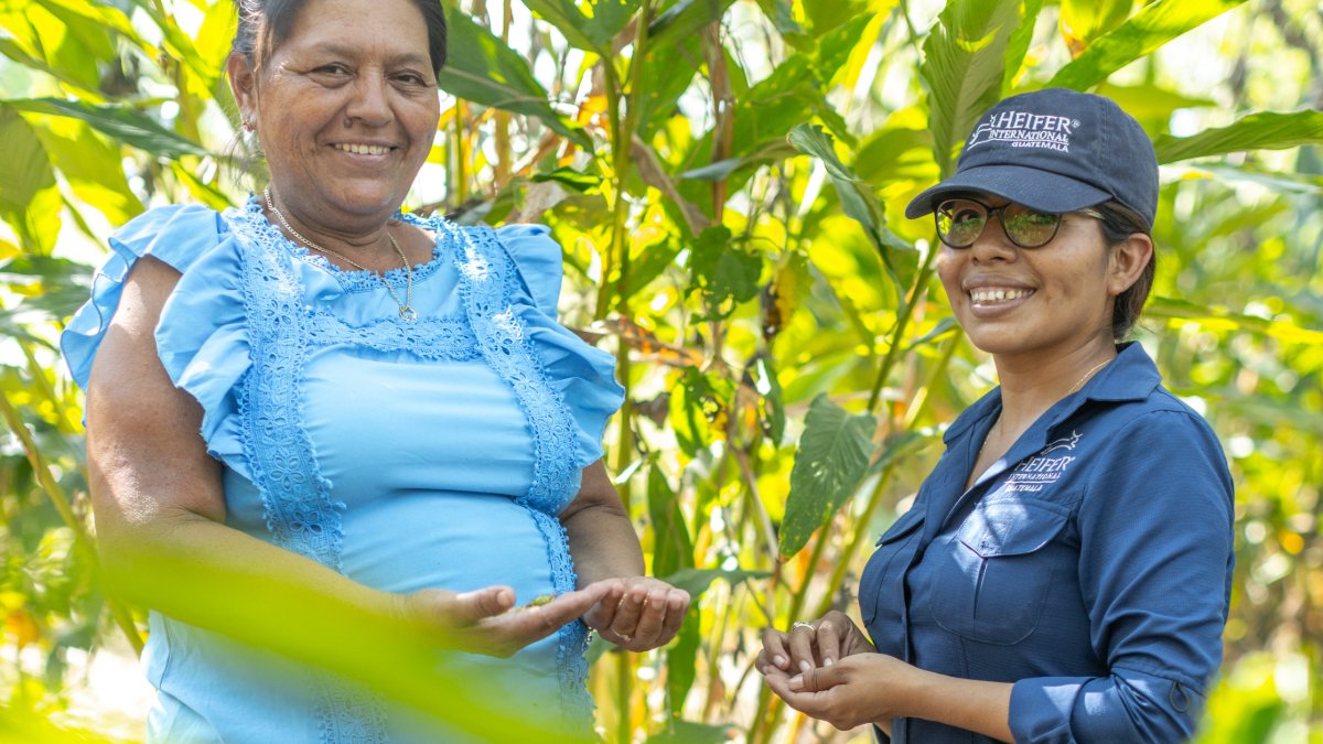 Heifer International tweet media