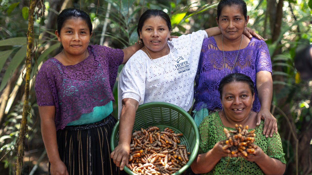 Heifer International tweet media