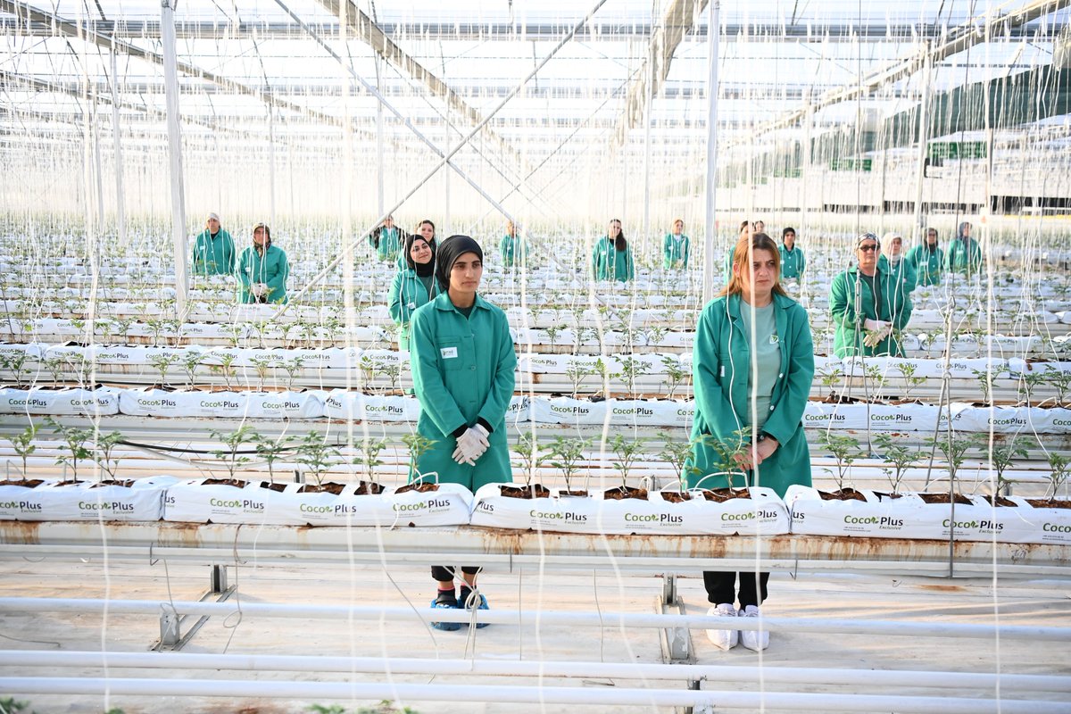 İbrahim Yumaklı tweet media