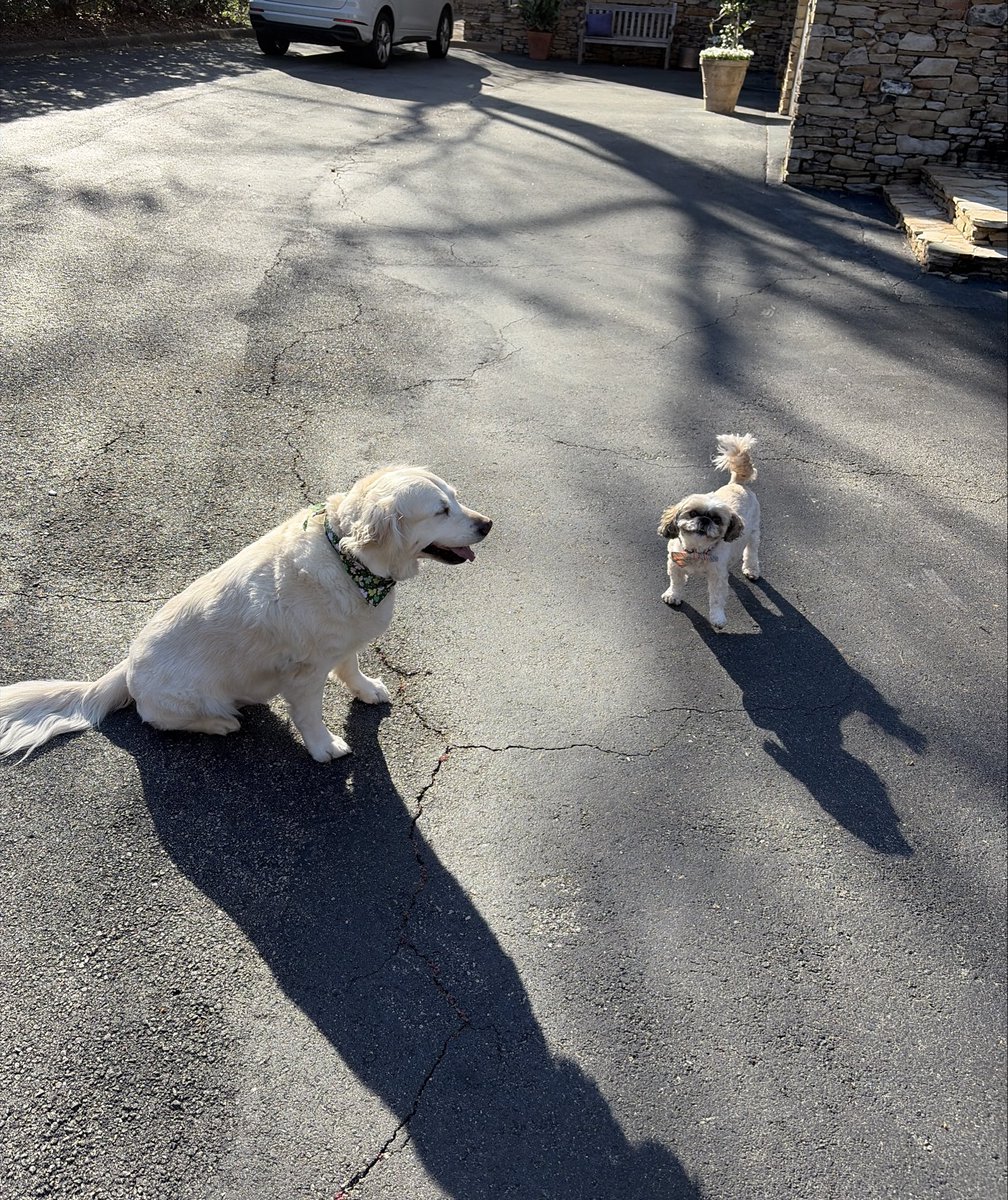 Anakin “chosen one” Skywalker tweet media