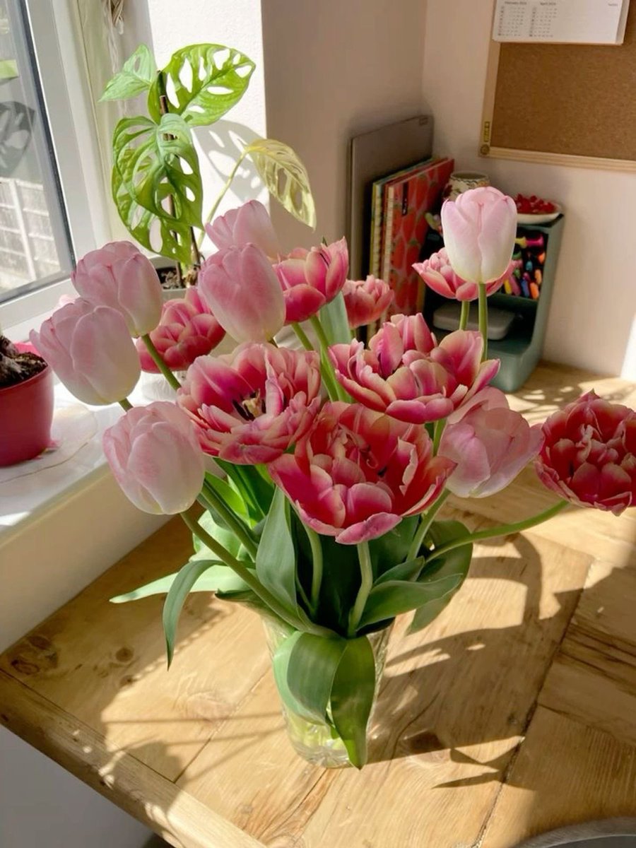 𝙳𝚎𝚛𝚢𝚊 tweet media