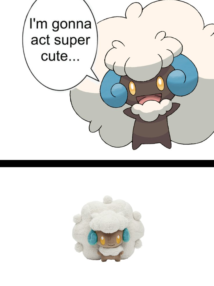 Shiny Whimsicott 🩵 tweet media