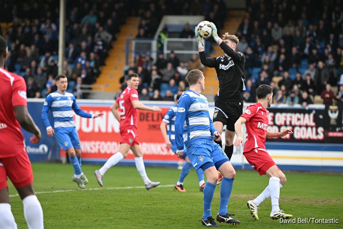 David Bell tweet media