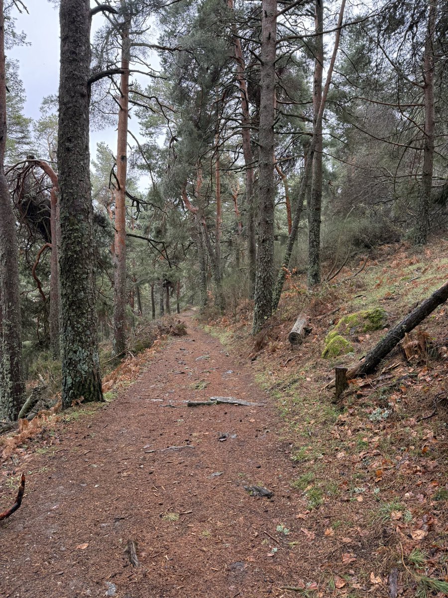 marcdaywalker's tweet photo. Monte Abantos
1753m
🏔️ https://t.co/sy0wrHvEcD