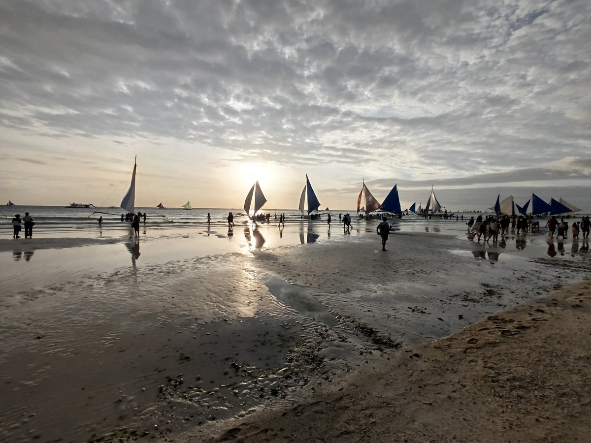 Shanomag tweet media