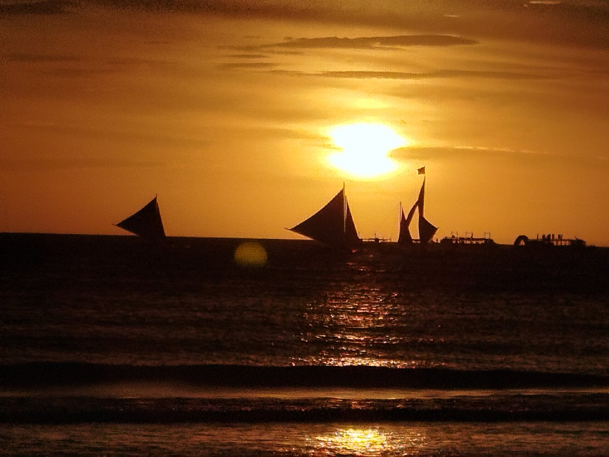 Shanomag tweet media