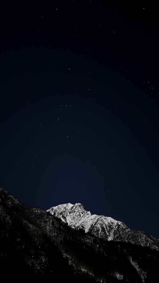 Ojasvi🐈 tweet media