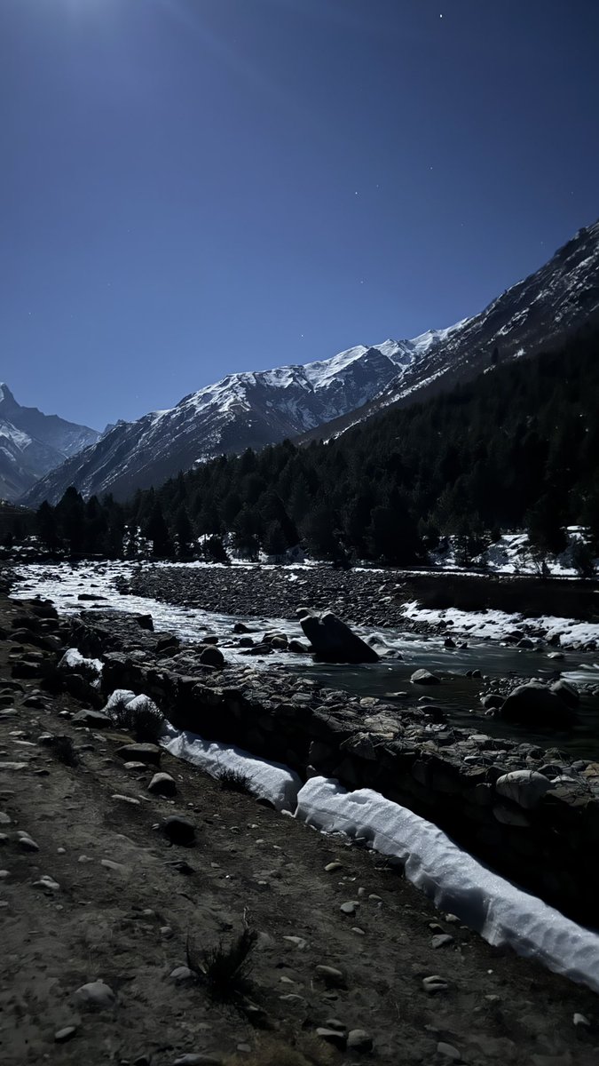 Ojasvi🐈 tweet media