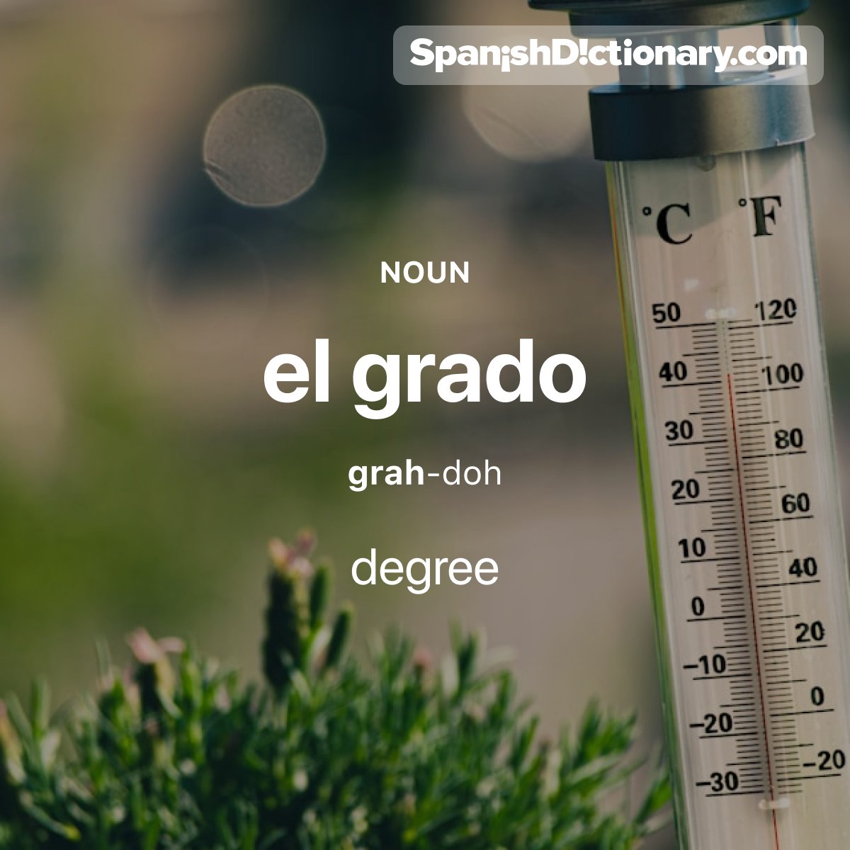 SpanishDict's tweet photo. Today's #WordOfTheDay is "grado."🌡️ For example: La temperatura máxima de hoy será de 30 grados. - A high of 30 degrees is expected today.

#EstudiaEspañol #StudySpanish #AprendeEspañol #LearnSpanish #Español #Spanish #LearningSpanish #PalabraDelDia https://t.co/ffOeRFk6dj