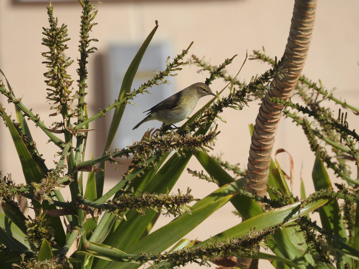 Stephen Marnick tweet media