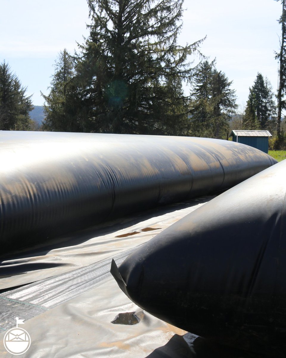 Tweedle Farms tweet media