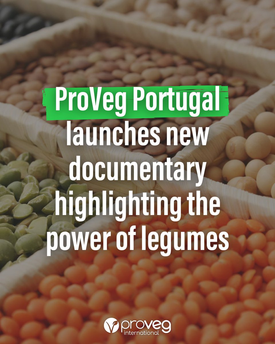 ProVeg International tweet media