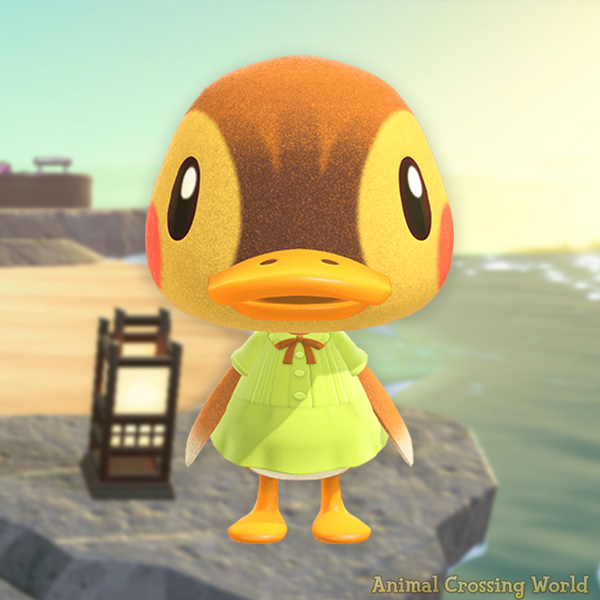 Animal Crossing World 🏝️ tweet media