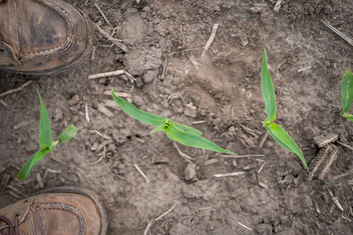 Rob-See-Co tweet media