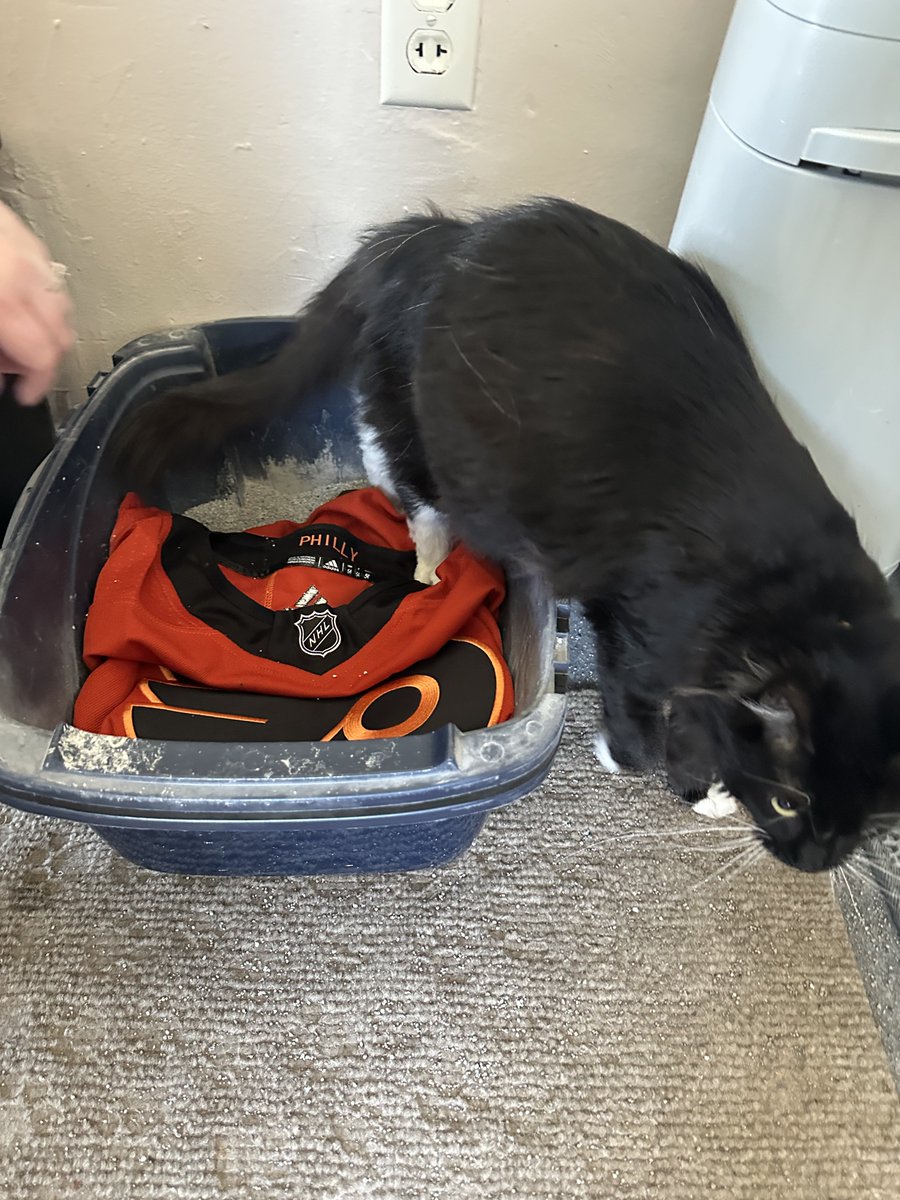 Jen Anderson tweet media