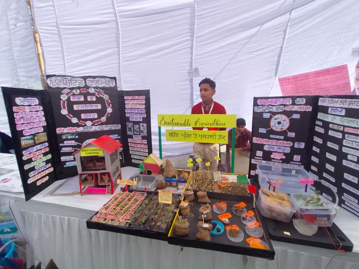 Department of School Education Punjab tweet media