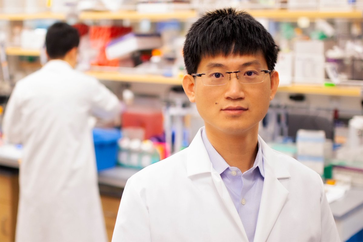 Yale University tweet media