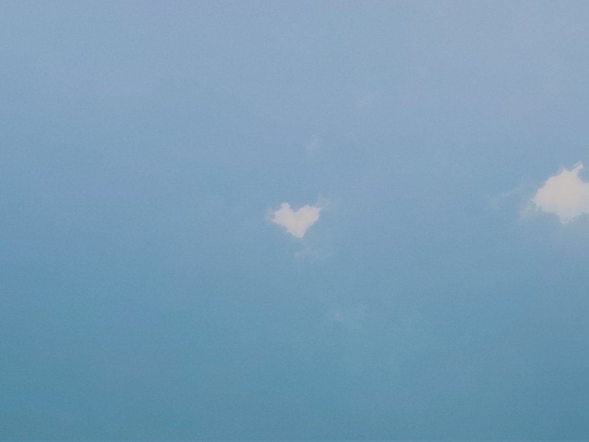 arthextic's tweet photo. https://t.co/TsYCeFonHI