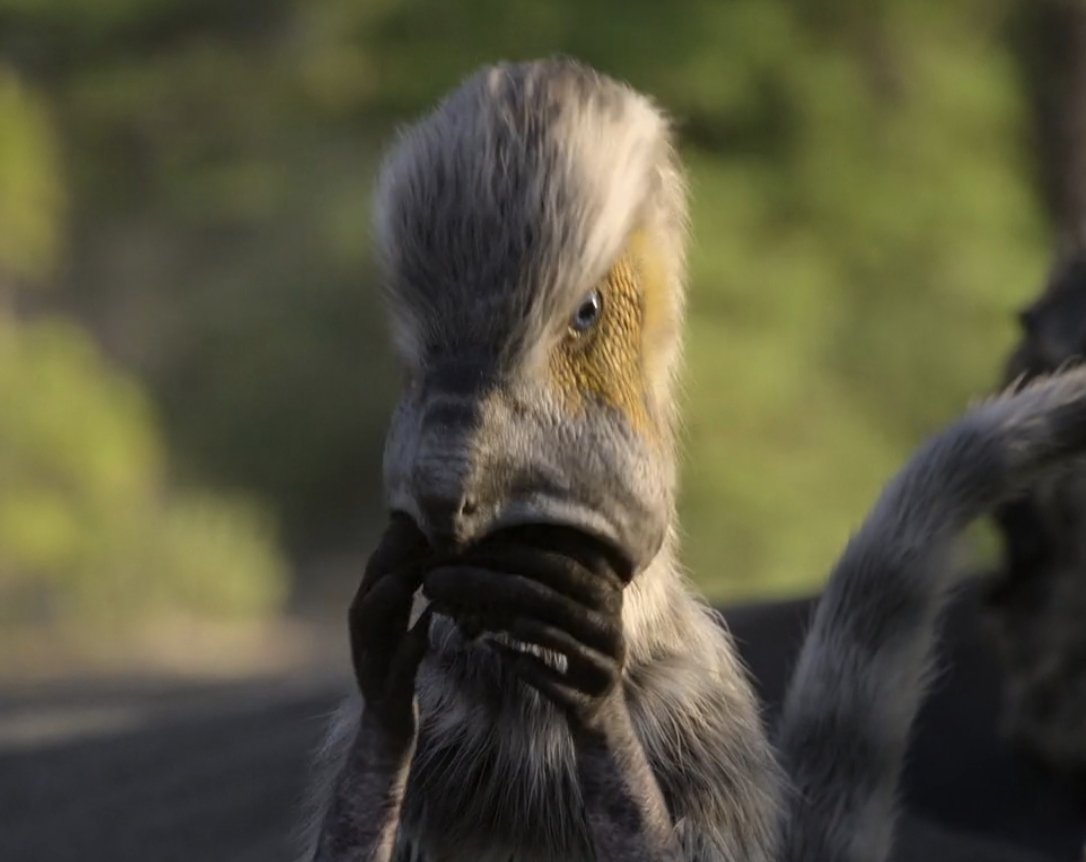 🌸Cassandra🌸🏳️‍⚧️🦕🖌️ tweet media