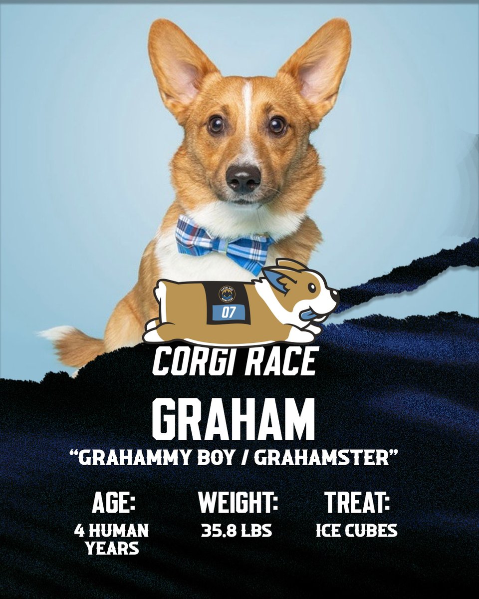 Cleveland Monsters tweet media