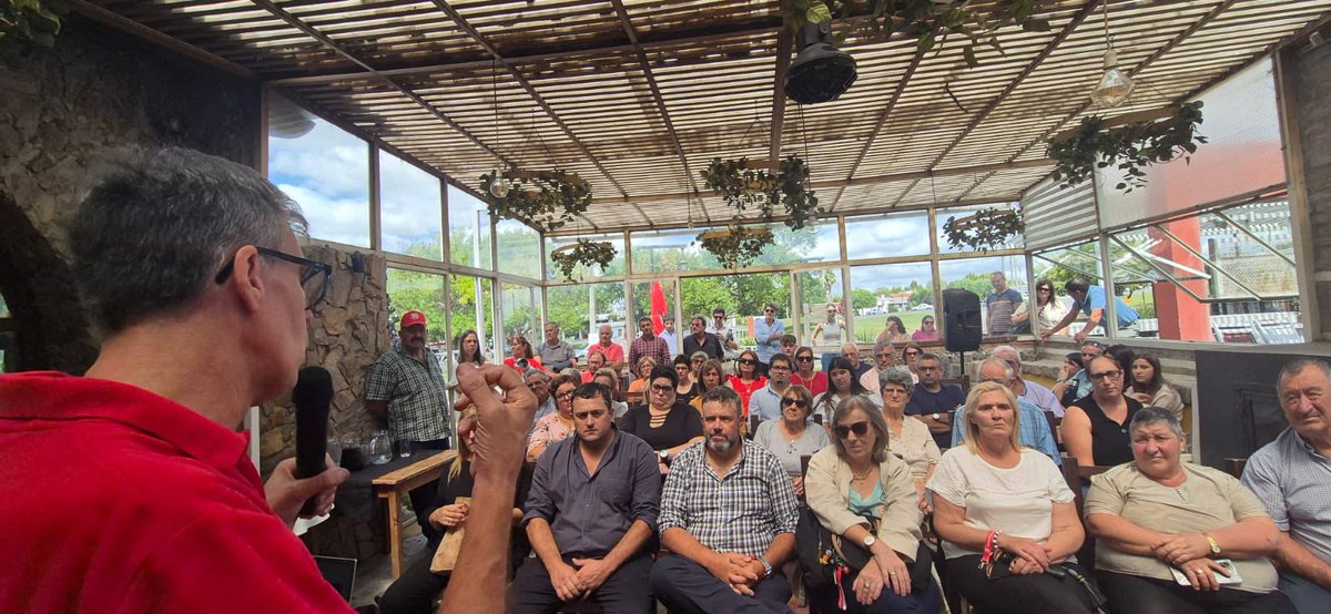 Pedro Bordaberry tweet media