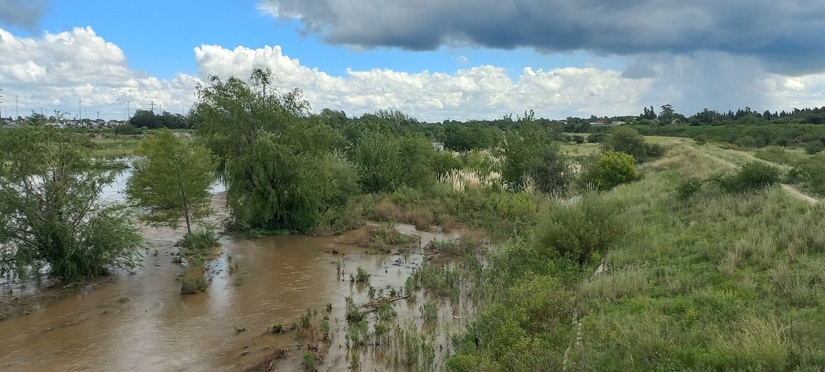 racinguistamer3's tweet photo. @dimarcorafael se nos hizo adulto el río V jaja
En los bordes de contención
De fondo el estadio #lapredrera https://t.co/JU2Ldae4mc