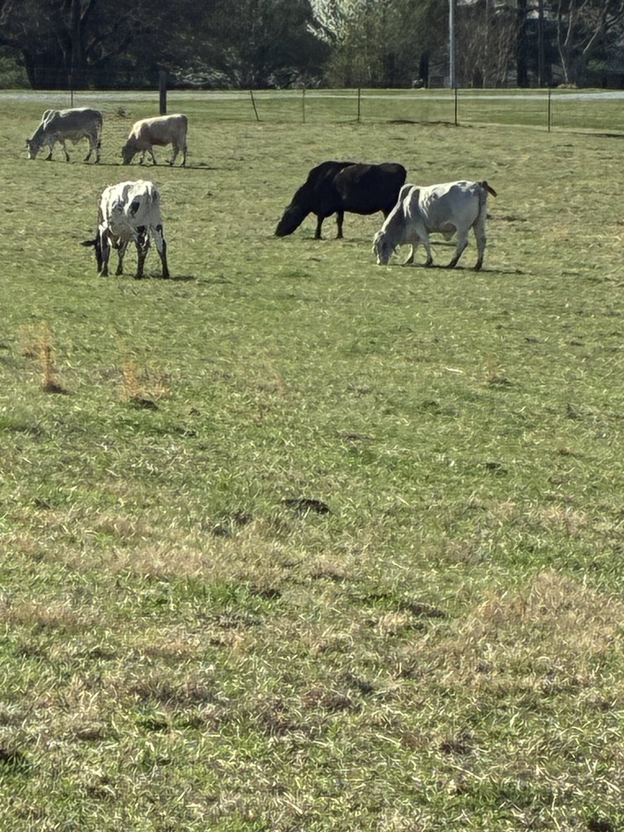 Darren Stout tweet media