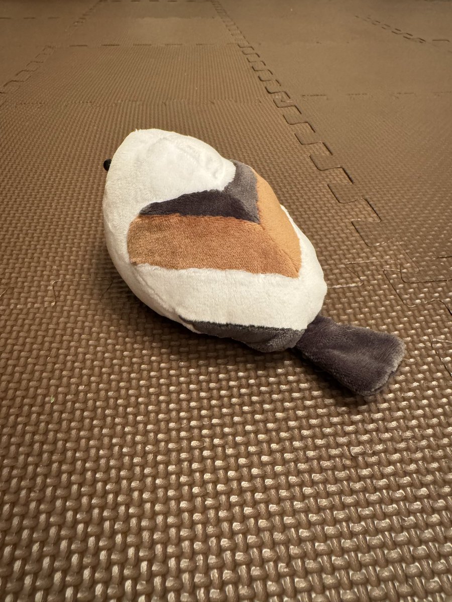 北川景子/ Keiko Kitagawa tweet media