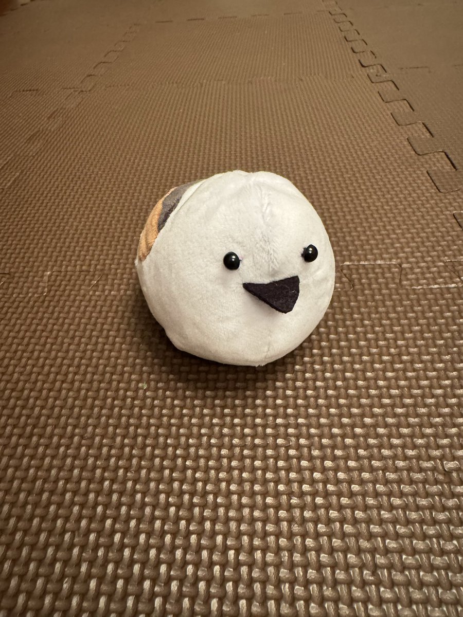 北川景子/ Keiko Kitagawa tweet media