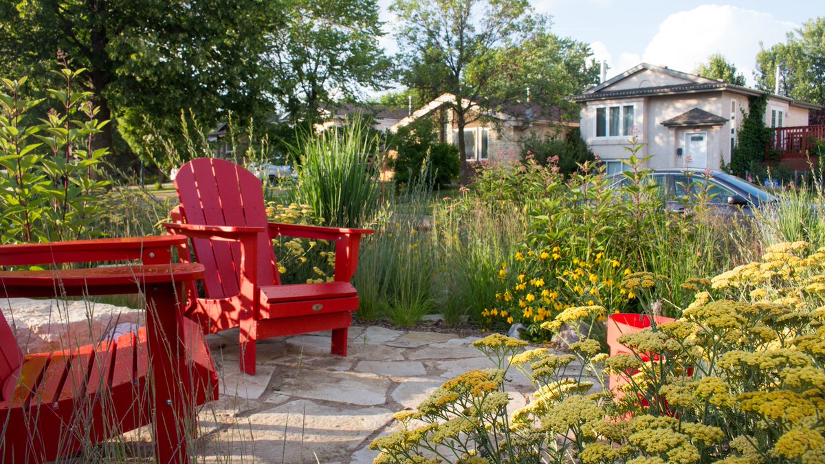 Colleen Zacharias tweet media