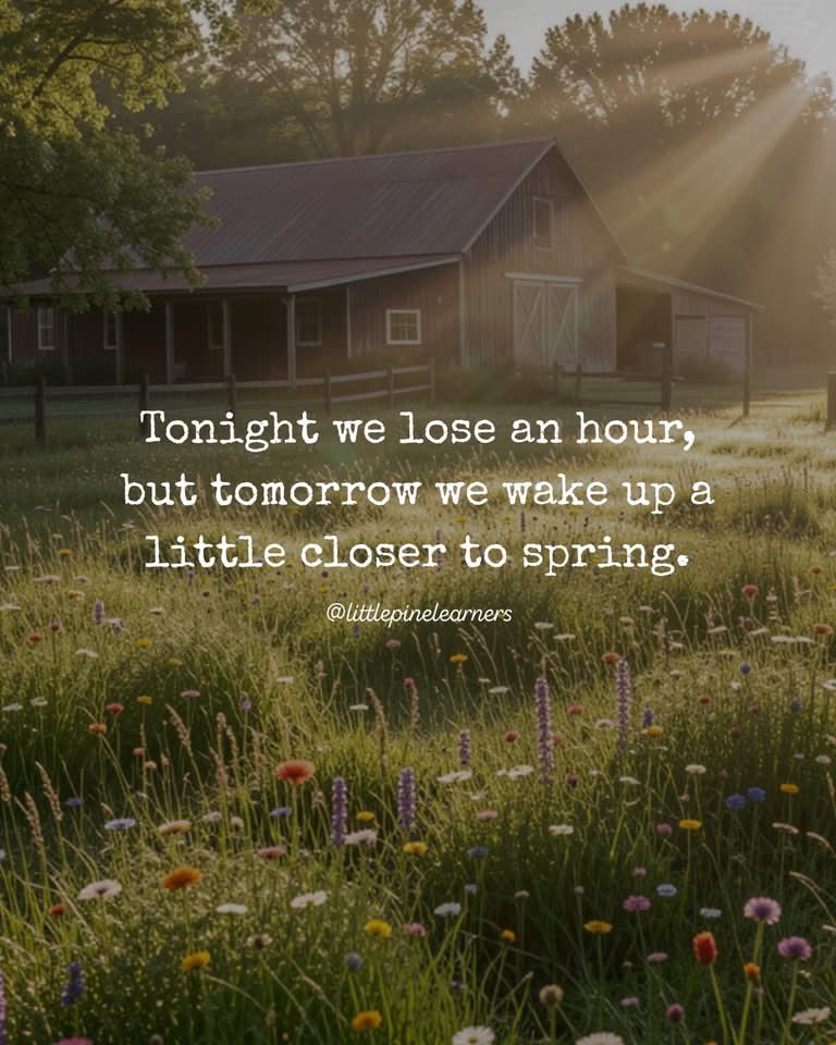kvallevand's tweet image. #SpringForward #DaylightSavingsTime