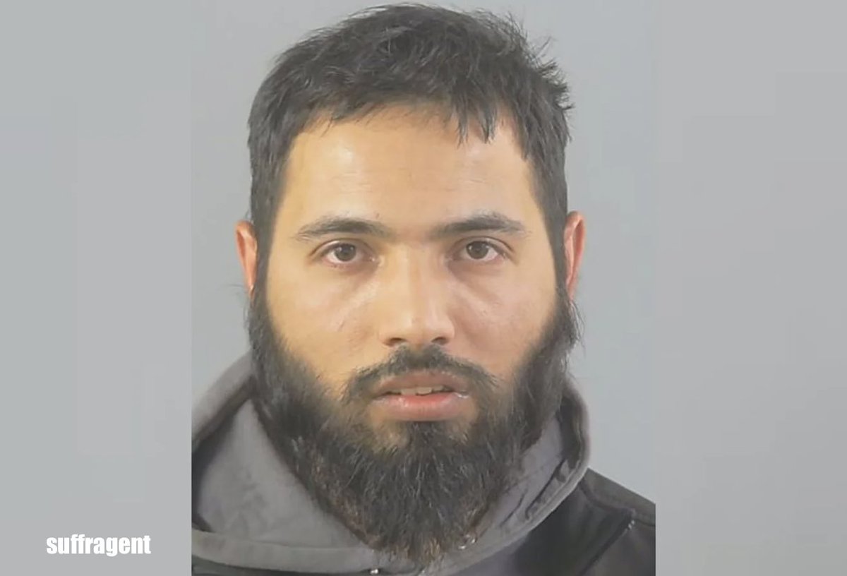 Meet Sohail Amiri - a migrant from Iran who invaded England via small boat.

He's just been convicted of sexually assaulting two lone women in Southampton, where he was staying in a taxpayer-funded hotel.

He was jailed for 3 years, costing taxpayers £150,000. No deportation. 🇬🇧