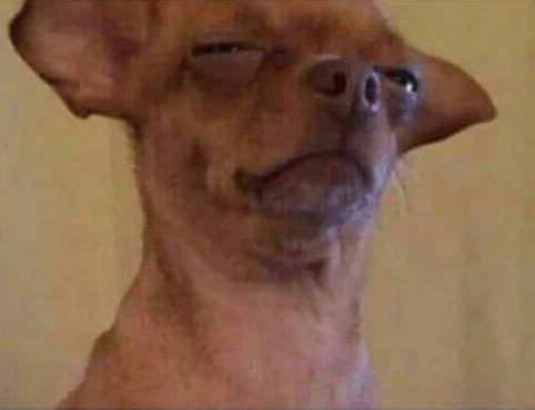 DarkPulse tweet media