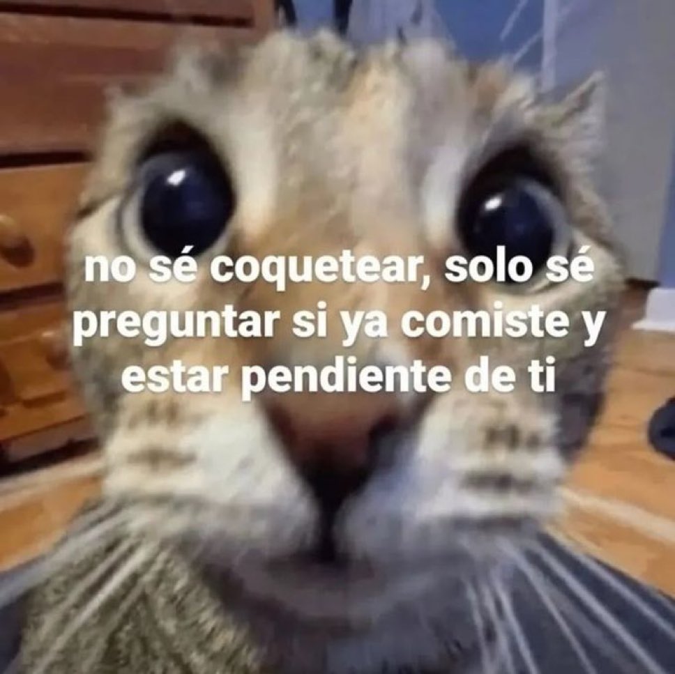 🌙 mini textos (@soyminitextos) on Twitter photo 