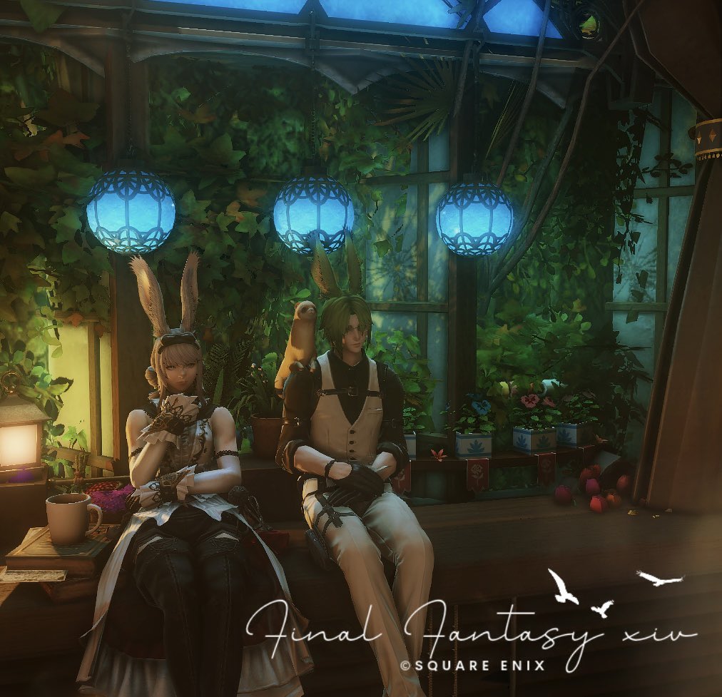 今日はフォロワーがいっぱいいたよ♪ #はこに和