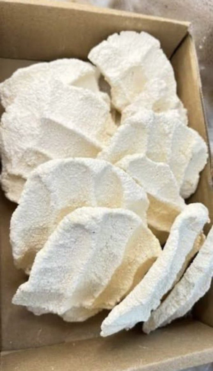 أحٍلُام tweet media