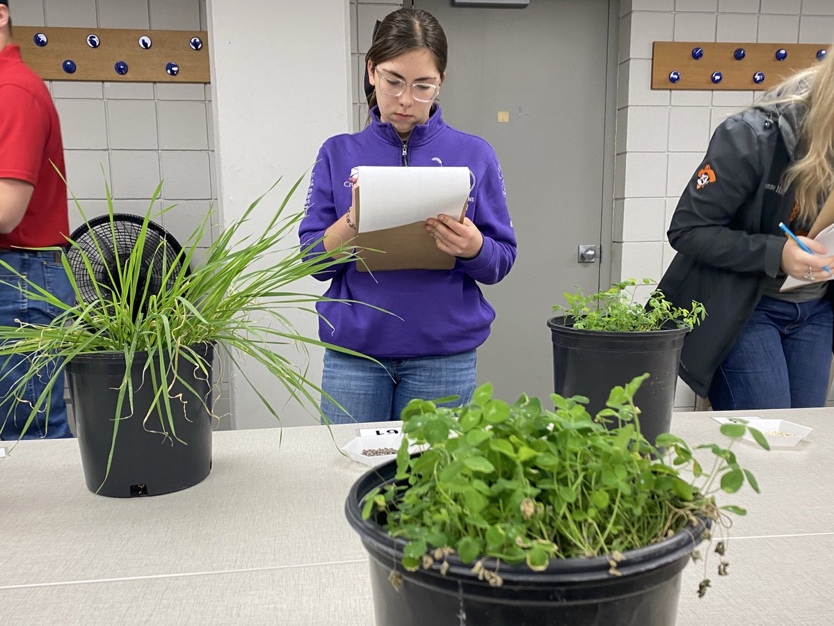 K-State Crops Judging tweet media