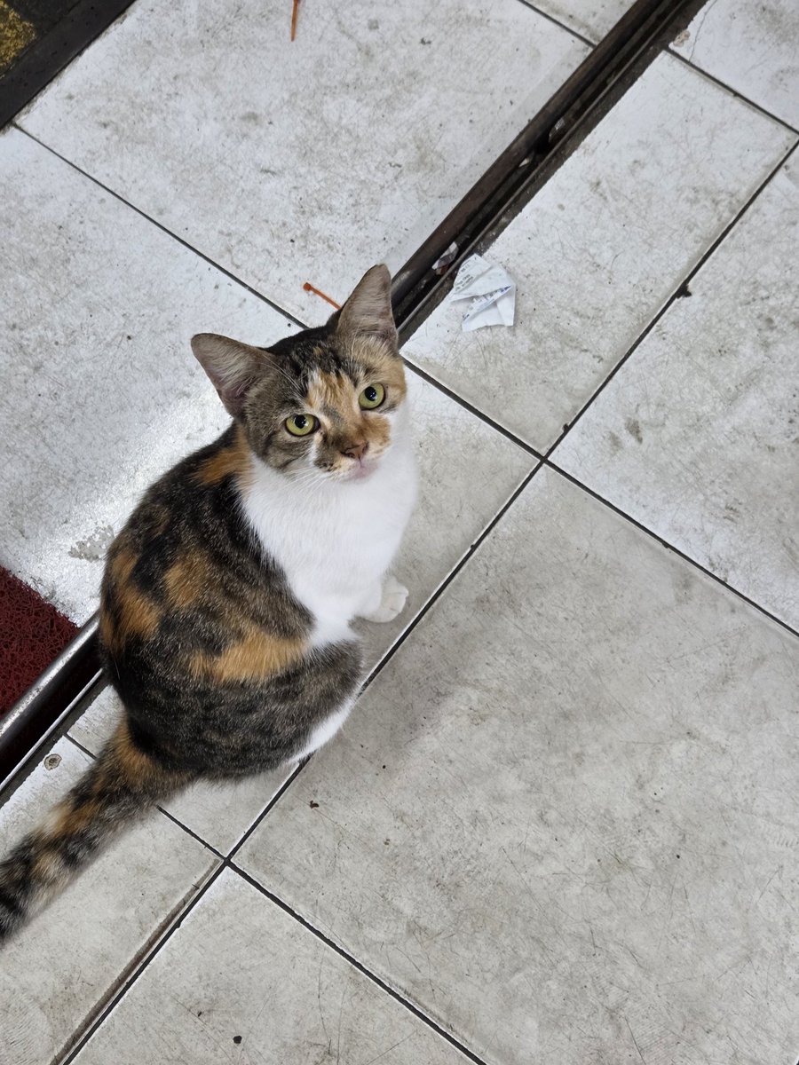 Nabastala🦉 tweet media